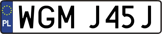 WGMJ45J