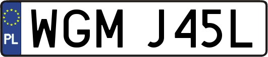 WGMJ45L