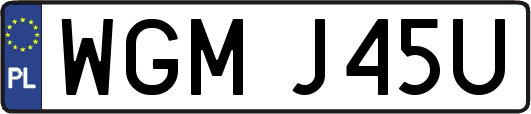 WGMJ45U