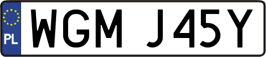 WGMJ45Y