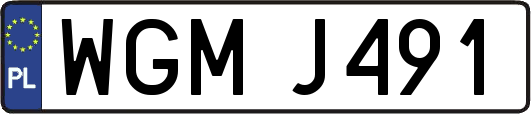 WGMJ491