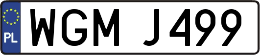 WGMJ499