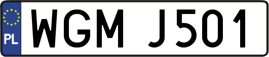 WGMJ501