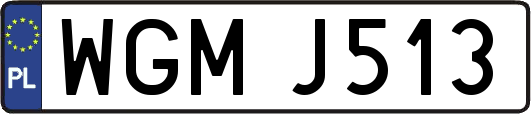 WGMJ513