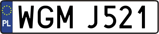 WGMJ521
