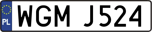 WGMJ524