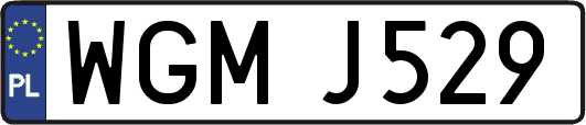 WGMJ529