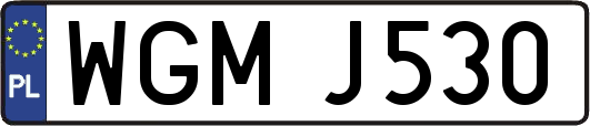 WGMJ530