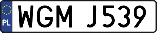 WGMJ539