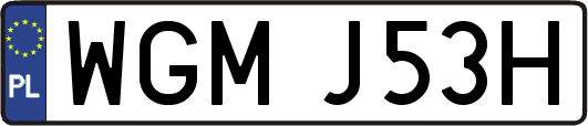 WGMJ53H