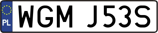 WGMJ53S