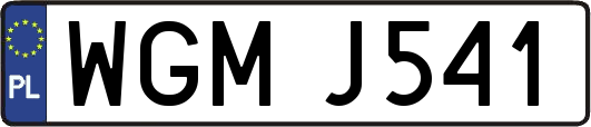 WGMJ541
