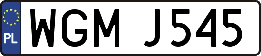 WGMJ545