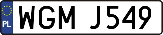 WGMJ549