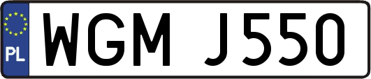 WGMJ550