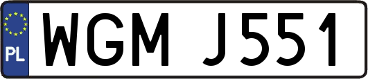 WGMJ551