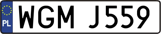 WGMJ559