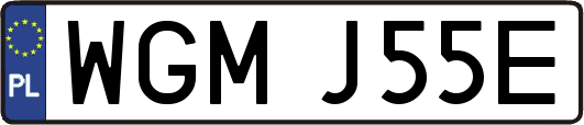 WGMJ55E