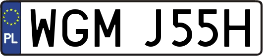 WGMJ55H