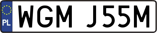 WGMJ55M