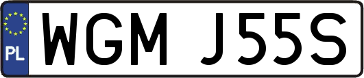 WGMJ55S