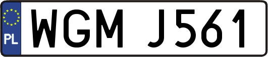 WGMJ561