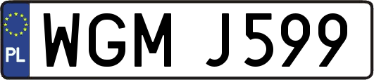 WGMJ599