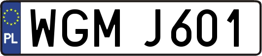 WGMJ601