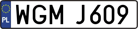 WGMJ609