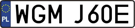 WGMJ60E