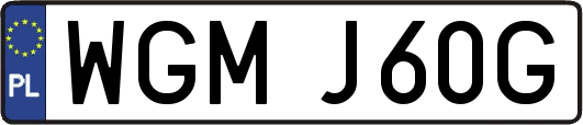 WGMJ60G