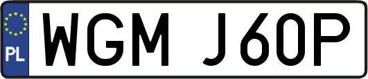 WGMJ60P