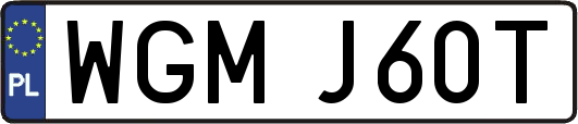 WGMJ60T