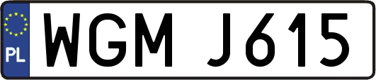 WGMJ615