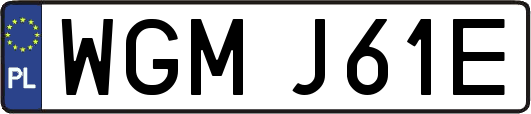 WGMJ61E