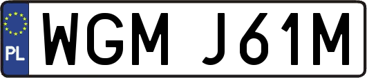 WGMJ61M