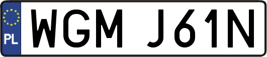 WGMJ61N