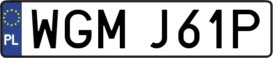 WGMJ61P