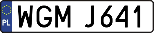 WGMJ641
