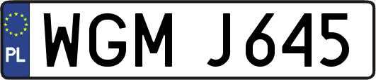 WGMJ645