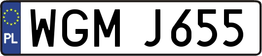 WGMJ655