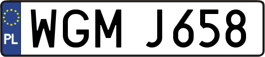 WGMJ658