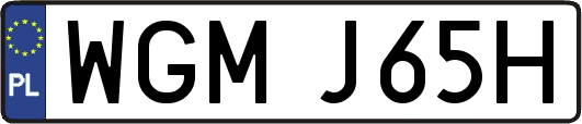 WGMJ65H