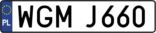 WGMJ660