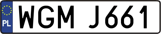 WGMJ661