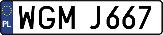WGMJ667
