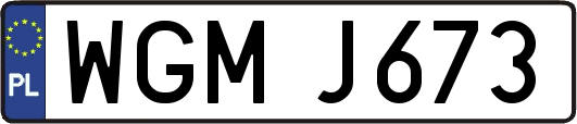 WGMJ673