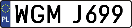 WGMJ699