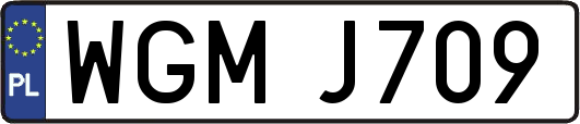 WGMJ709