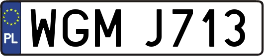 WGMJ713